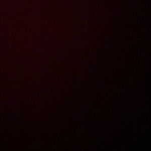 Meet your Posher, Arielle